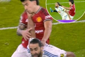 这红牌对吗？利马拉拽头发但力度存疑，勒温同时回手在抓脖子