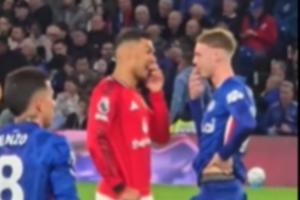 哥俩说啥呢？卡塞米罗与帕尔默在场上捂嘴交流，两人都露出了笑容